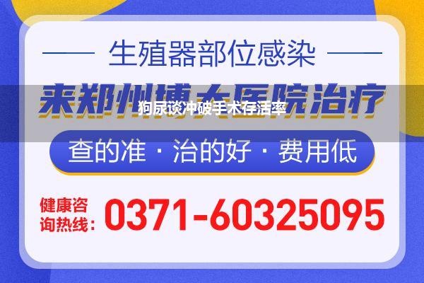 尿谈下裂手术顺利率_狗尿谈冲破手术存活率