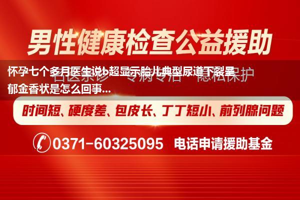 怀孕七个多月医生说b超显示胎儿典型尿道下裂呈郁金香状是怎么回事...